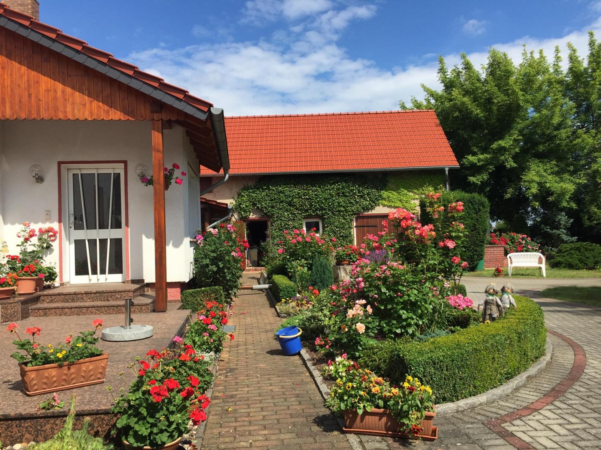Top-Moderne Ferienwohnung Und Apartments Auf Frueherem Wunderschoenen Bauernhof Im Elbe-Elster-Kreis In Brandenburg Bei Herzberg-Elster, Schoenewalde, Holzdorf Bagian luar foto