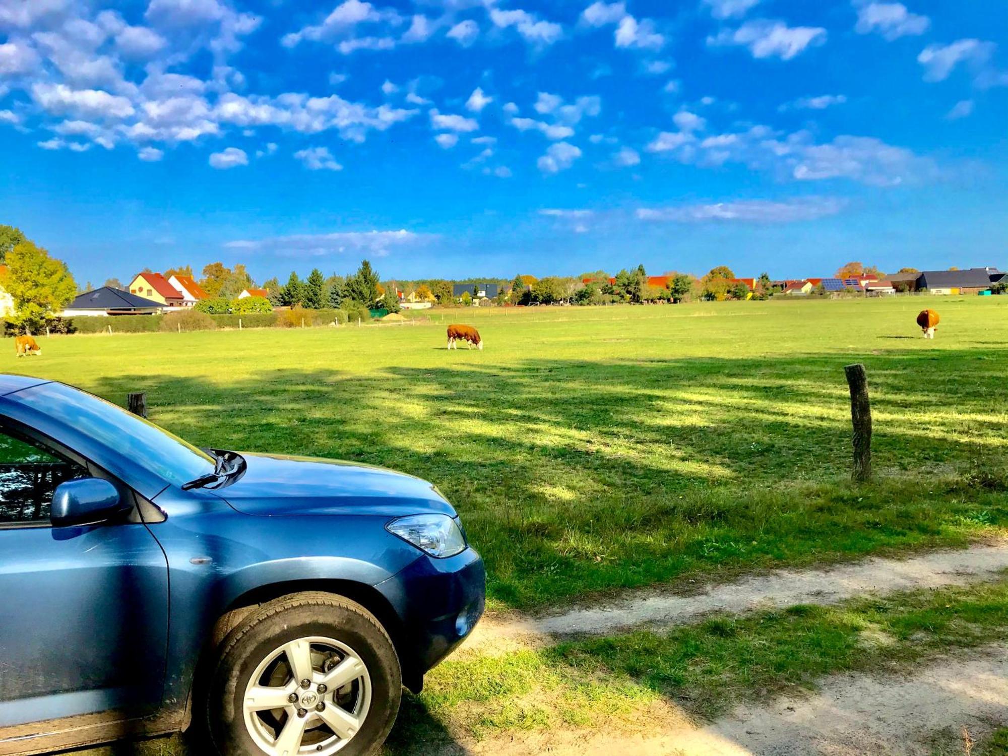 Top-Moderne Ferienwohnung Und Apartments Auf Frueherem Wunderschoenen Bauernhof Im Elbe-Elster-Kreis In Brandenburg Bei Herzberg-Elster, Schoenewalde, Holzdorf Bagian luar foto