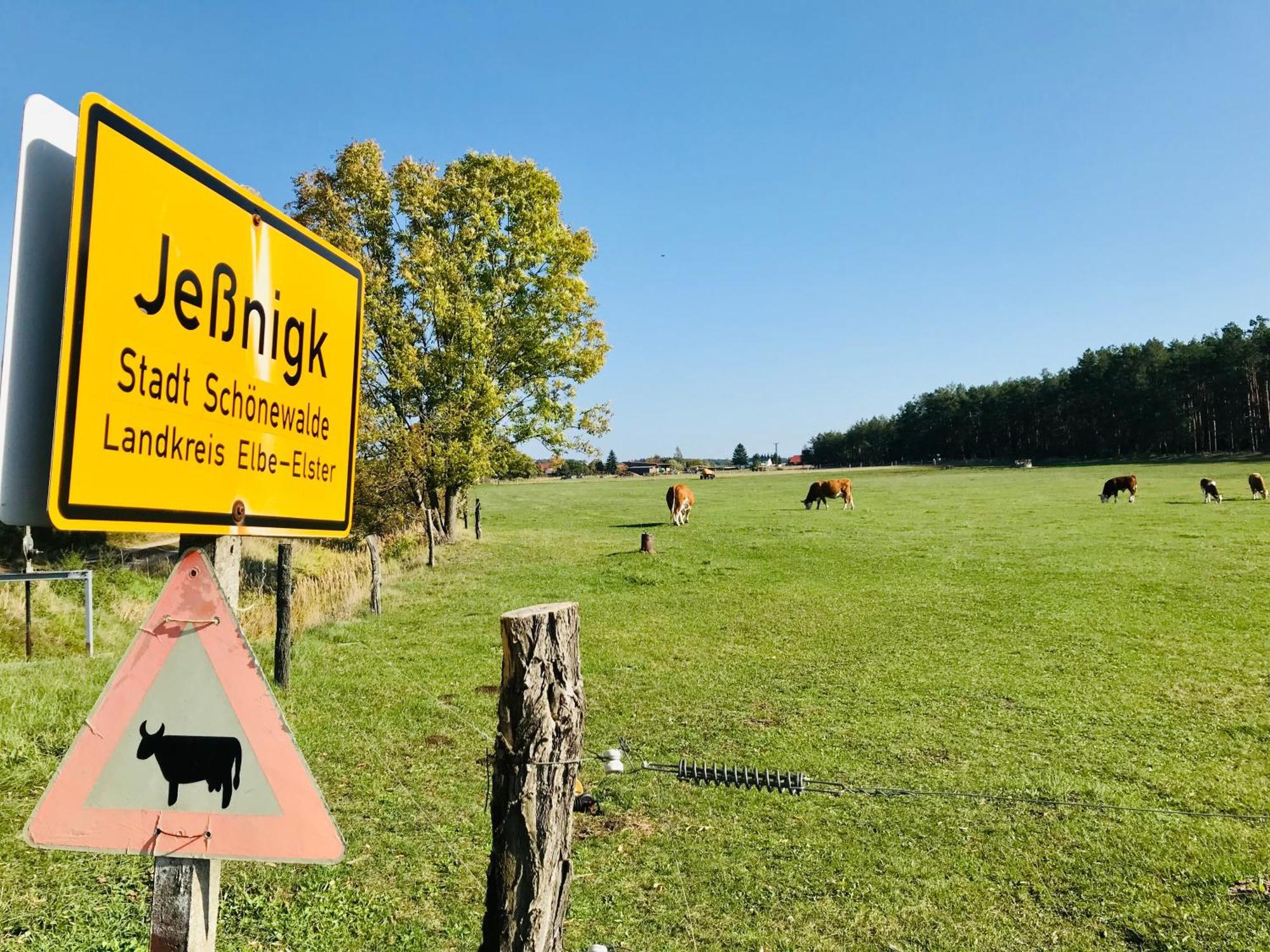 Top-Moderne Ferienwohnung Und Apartments Auf Frueherem Wunderschoenen Bauernhof Im Elbe-Elster-Kreis In Brandenburg Bei Herzberg-Elster, Schoenewalde, Holzdorf Bagian luar foto