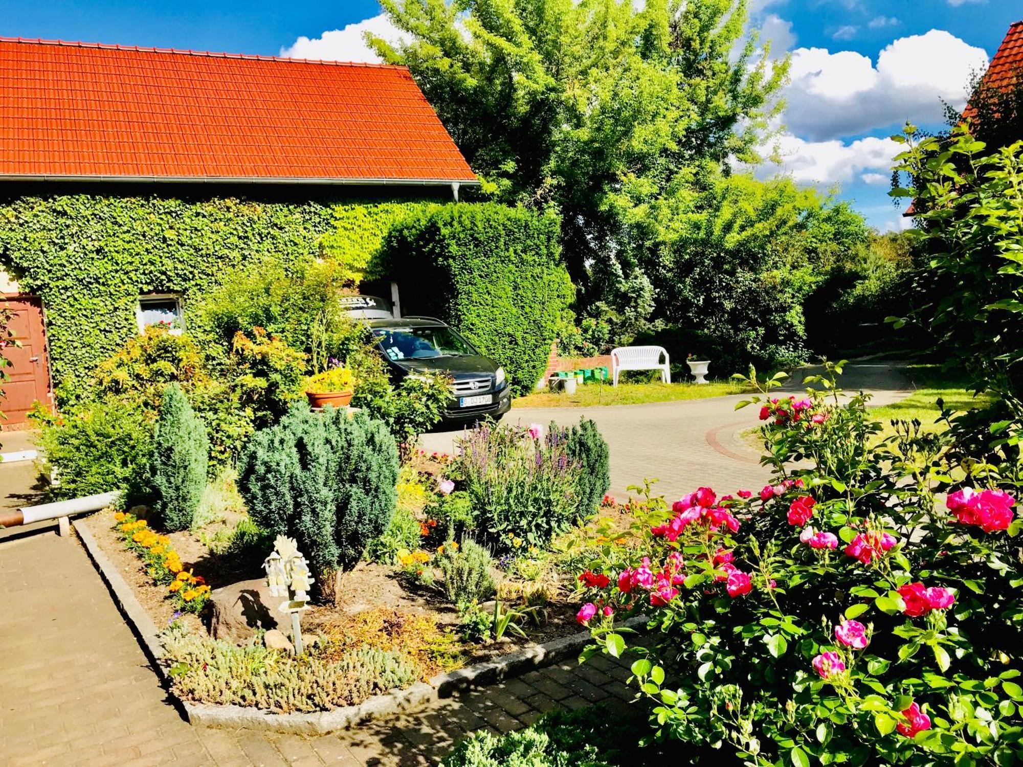 Top-Moderne Ferienwohnung Und Apartments Auf Frueherem Wunderschoenen Bauernhof Im Elbe-Elster-Kreis In Brandenburg Bei Herzberg-Elster, Schoenewalde, Holzdorf Bagian luar foto